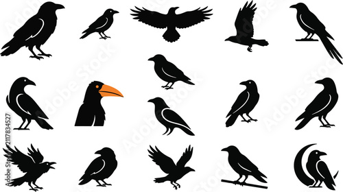 Cuadro en lienzo Collection of black raven and crow silhouettes in motion