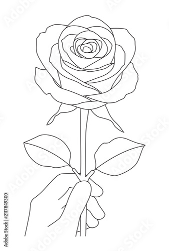 Hand Holding Elegant Rose Flower Minimalist Romantic Botanical Line Art Illustration