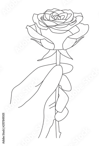 Hand Holding Blooming Rose Flower Minimalist Romantic Line Art Illustration