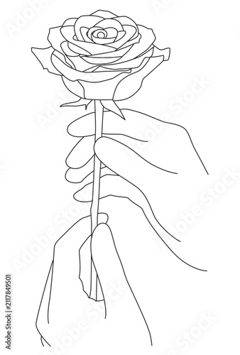 Hands Holding Rose Flower Stem Minimalist Romantic Botanical Line Art