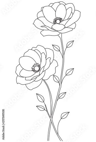 Two Elegant Flowers with Long Stems Minimalist Botanical Line Art Illustration