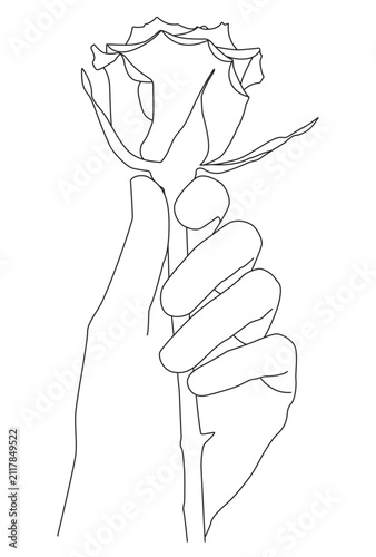 Hand Holding Single Rose Flower Minimalist Botanical Line Art Illustration