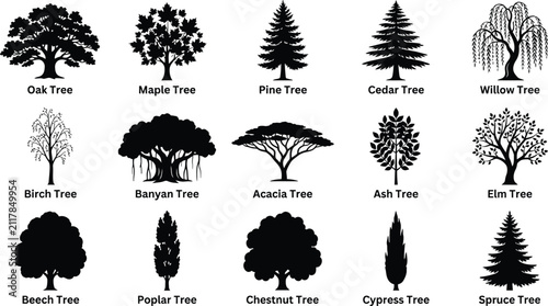 Bild auf Leinwand Fifteen black tree silhouettes with identification labels including oak, maple,