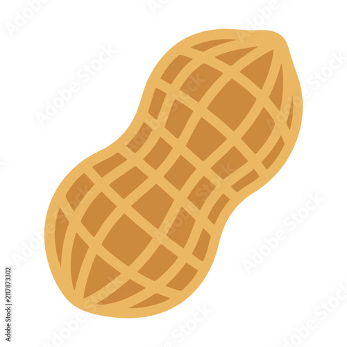 A single brown peanut in its shell shown as a simple flat vector illustration icon Vector