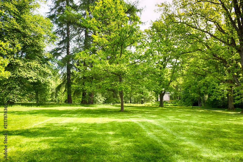 Obraz premium A scenic landscape view of historic Herttoniemi Manor Park in Helsinki, Finland, featuring sun-drenched paths, majestic old deciduous trees, and lush green lawns under a bright summer sky. HDR.