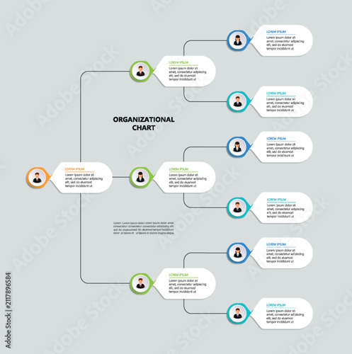 Corporate organizational chart with business avatar icons. Business hierarchy infographic elements	
