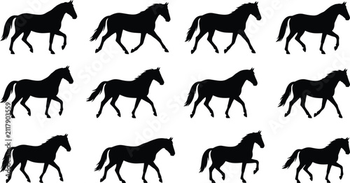 Horse Silhouette Motion Study Showing Walking and Trotting Sequence Frames
