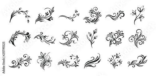 Set of hand drawn floral elements and decorative botanical sprigs for wedding invitations and creative graphic design projects