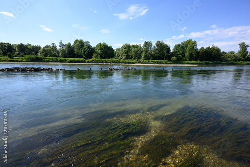 Ein Fluss mit klarem Wasser, umgeben von Bäumen und Sträuchern an einem sonnigen Tag
