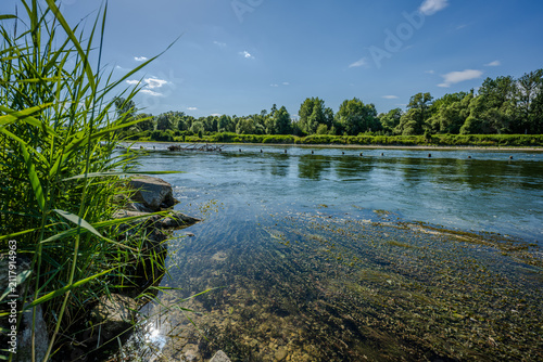 Flusslandschaft mit klarem Wasser und Ufervegetation