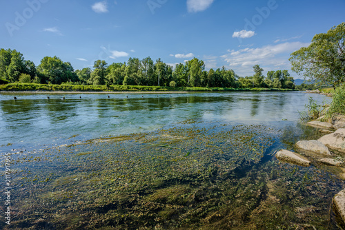 Der Fluss fließt ruhig durch die Landschaft mit Bäumen am Ufer und klarem Himmel