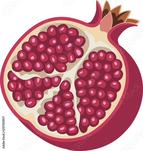 vector art of pomegranate isolated on white background