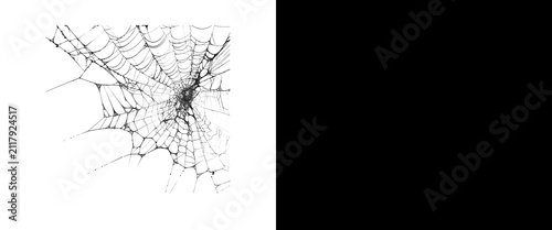 Spooky spider web illustration, creepy cobweb corner design element, black and white gothic graphic for Halloween decorations