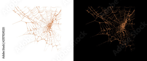 Intricate golden spider web on black and white backgrounds, fragile cobweb texture with dew drops, spooky halloween design element