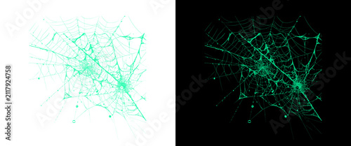 Bild auf Leinwand Glowing green spider web on black and white backgrounds, eerie neon cobweb textu
