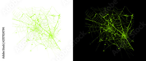 Fotografie Glowing green spider web on black and white backgrounds, neon cobweb texture for