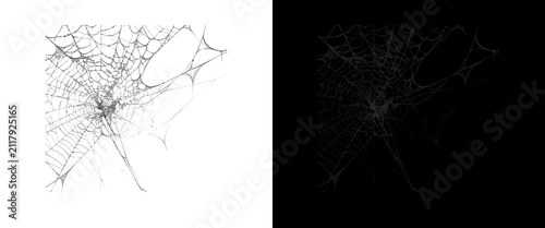 Bild auf Leinwand Intricate spider web textures on white and black backgrounds, spooky cobweb patt