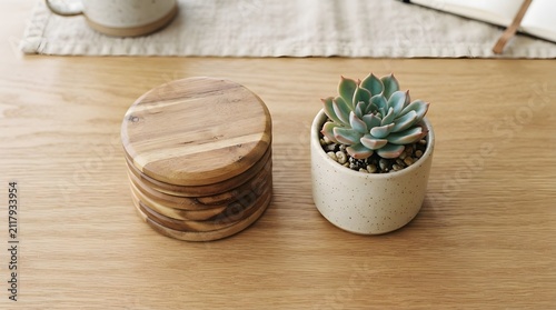 A small succulent plant in a white pot next to a stack of wooden coasters on a table