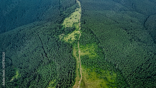 Принти на полотні Vertical aerial of a narrow grassy corridor and dirt track slicing through deep