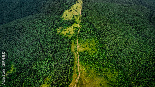 Фотография High contrast drone view of a straight track threading a bright meadow between d