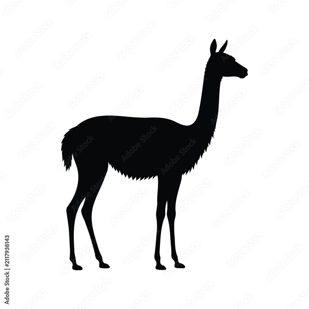 Obraz premium Vicuna silhouette vector flat illustration design.