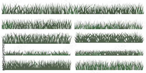 Foto Green grass border illustration set with varying densities and blade shapes on w