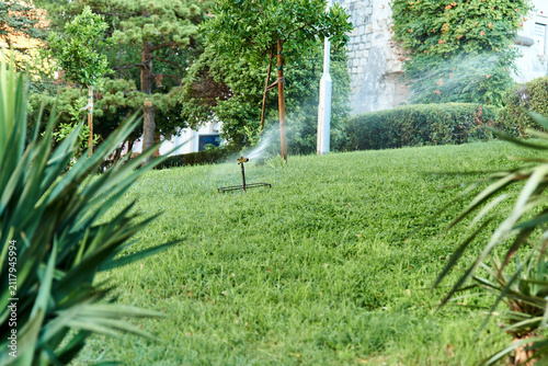 Sprinklers for automatic lawn watering. Lawn care. Devices for watering the garden.
