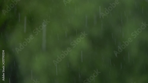 Slow motion rainfall with soft focus foliage backdrop
