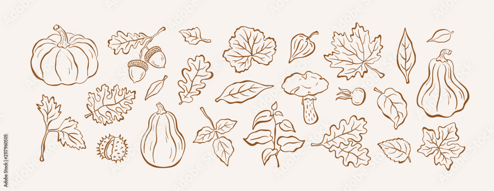 Fototapeta premium Botanical set of autumn illustrations in sketch style