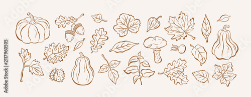 Botanical set of autumn illustrations in sketch style