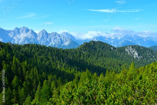 Mountain range covered in coniferous larch forest above a valley in Karavanke mountains with a view of Julian alps from Trupijevo Poldne in Gorenjska, Slovenia
