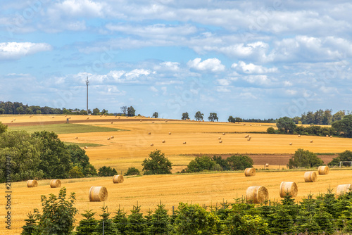 Rural landscape with golden fields with many round hay bales under a blue sky
