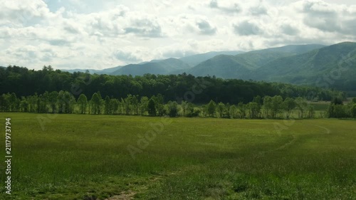 panorama of a green meadow in front of a forest and mountains in the background