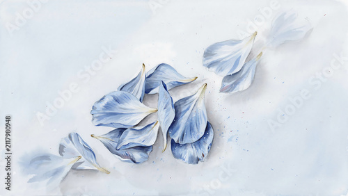 Delicate blue flower petals floating on a soft watercolor background, isolated on a, transparent background