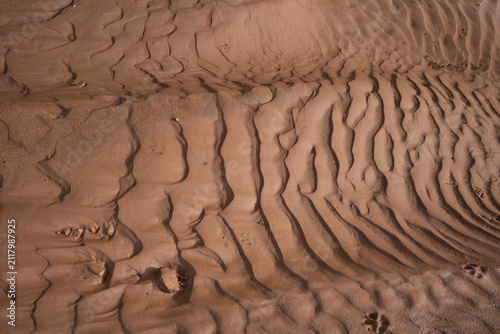 Fotografía Texture of dry clay
