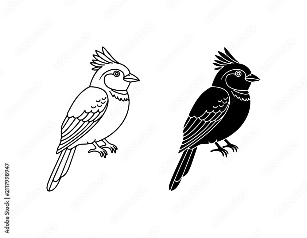Fototapeta premium Cardinal Bird Vector Icons, Black and White Silhouette, Simple Ornithology Graphics