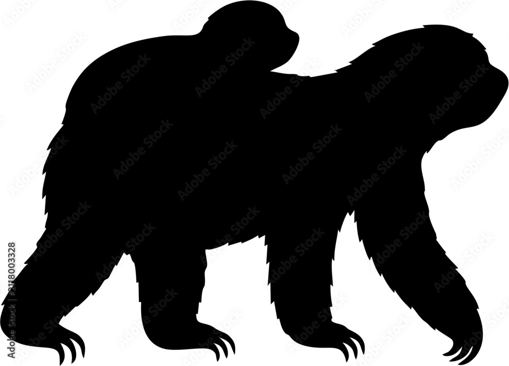 Obraz premium Baby Sloth Silhouette Vector ...