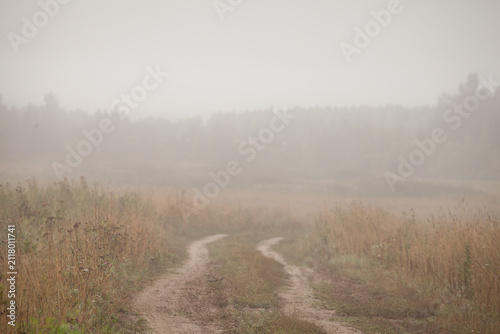 Winding country road through an autumn field fading into heavy fog