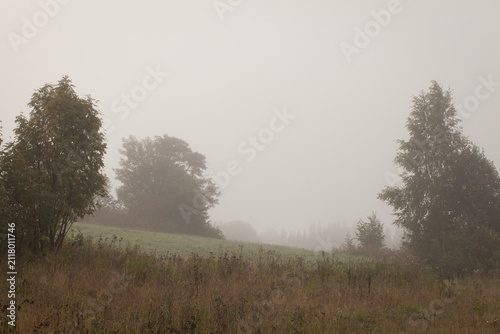 Silhouettes of green trees on a grassy hill in dense morning mist