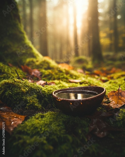 Small organic material cup resting among green moss and autumn leaves on a woodland floor.