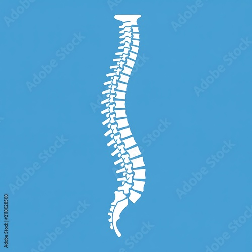 Human spine anatomy illustration on blue background