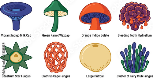 Cuadro en lienzo Flat vector illustration set of eight unique mushroom and fungus species on white background with descriptive titles