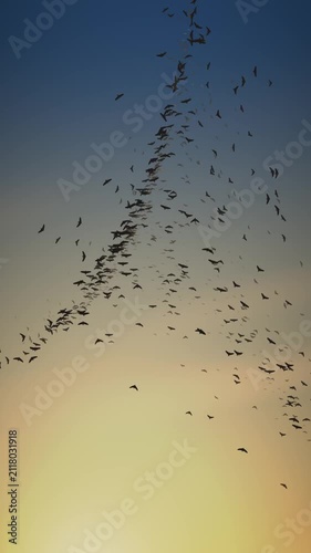 Starling Murmuration Bird Flock at Dusk Seamless Loop in deep teal tones vertical 9:16