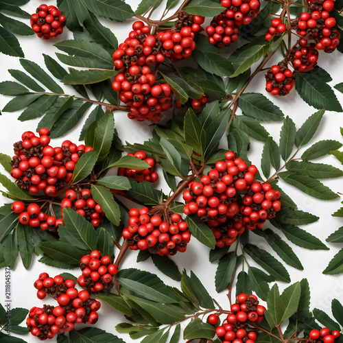 Red berries and green leave...