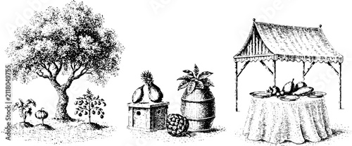 Community garden and farmers market scene with tree produce barrels and market stall for seasonal banner and background design