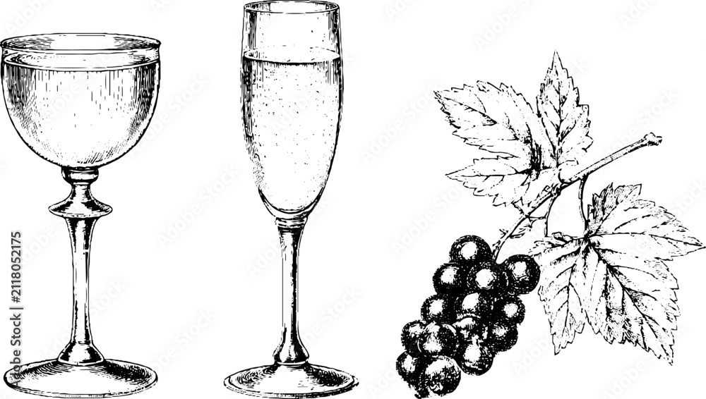 Obraz premium Vintage hand-drawn set of kir royale champagne glass with cassis blackcurrant and liqueur bottle illustrations for label menu background and packaging design