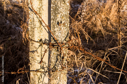 Bild auf Leinwand Rusted barbed wire tightly binds a weathered concrete fence post, bathed in warm