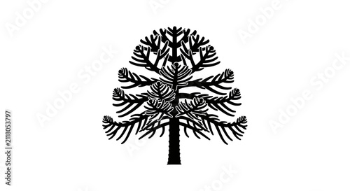 Foto Black monkey puzzle tree silhouette illustration.