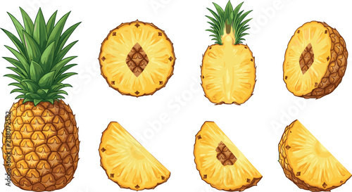 Fotografie Fresh whole and sliced pineapple fruit collection vector illustration set with c