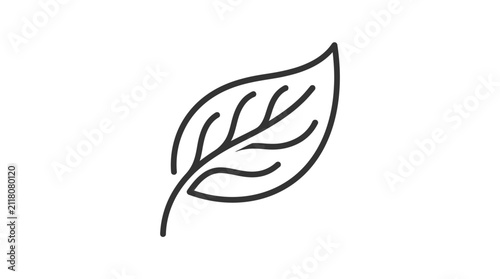 Leaf icon illustrates a single botanical element with delicate veins and a simple curved organic shape.